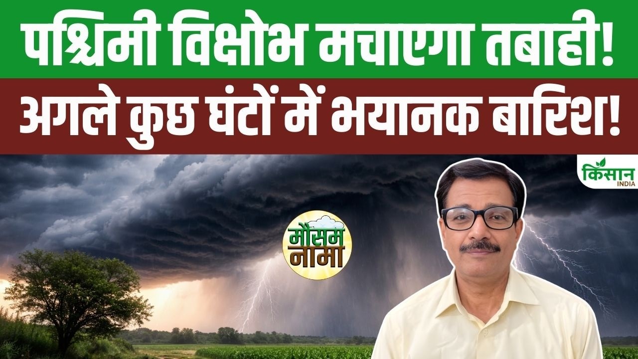 Weather Forecast: IMD ने जारी किया भयानक बारिश का अलर्ट, Western Disturbances से मचेगी भारी तबाही!