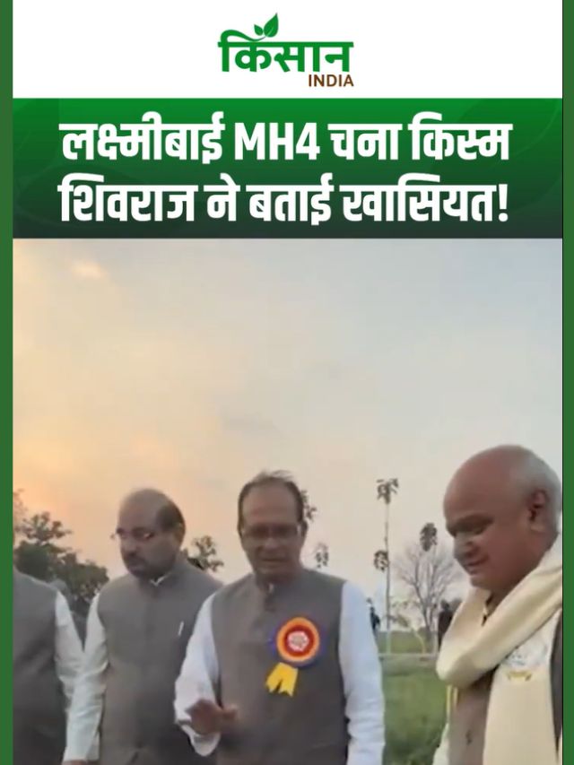 नई चना और सरसों किस्म के साथ Integrated Farming से दोगुनी आमदनी का मौका