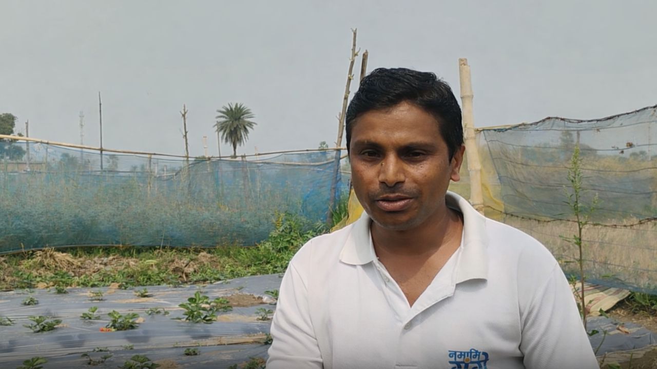 Jharkhand Sahibganj Farmer Dharmraj Recieved Progressive Farmer Award For Strawberries Farming Under Horticulture Mission Scheme