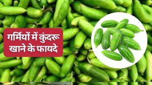 गर्मियों में बड़े काम की है कुंदरू की सब्जी, कब्ज से छुटकारा दिलाने के साथ ही कई बीमारियों की रोकथाम में मददगार