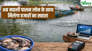 फिशरी सेक्टर में डिजिटल क्रांति, आसान लोन और 5000 रुपये मदद से किसानों को मिल रहा नया सहारा