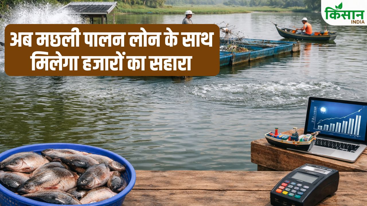 Digital Revolution Fisheries Sector Easy Loans And Rs 5000 Assistance Are Providing New Support Farmers