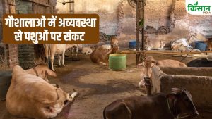 दो दिनों में 7 पशुओं की मौत…सरकारी गौशाला में लापरवाही उजागर, केयरटेकर पर FIR