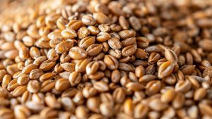 Wheat Purchase: सरकार ने गेहूं किसानों के लिए रजिस्ट्रेशन तारीख बढ़ाई, 200 रुपये क्विंटल बढ़ाकर मिलेगा भाव    