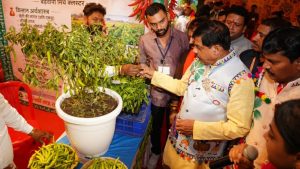 कृषि-पशुपालन की 16 योजनाओं पर खर्च होंगे 27746 करोड़, कृषि कैबिनेट में किसानों को बोनस देने का ऐलान