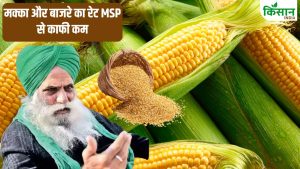 डल्लेवाल का बड़ा आरोप! MSP सिर्फ दिखावा, किसान कर्ज में डूबे.. 23 साल में 111 लाख करोड़ का नुकसान