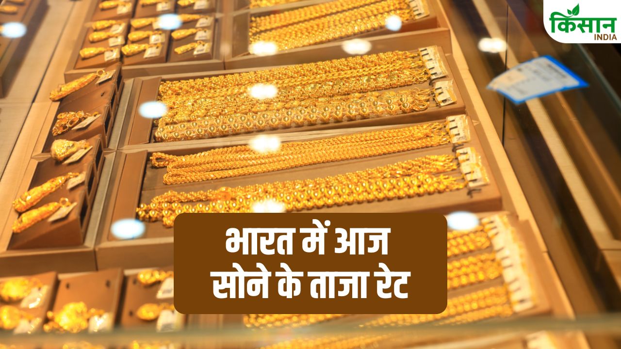 Gold Rate Today March 26 Check City Wise Price In India Aaj Ka Sone Ka Bhao