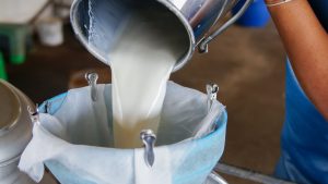Milk Adulteration: कहीं आपके दूध में डिटर्जेंट तो नहीं? पीने से पहले घर पर जरूर करें ये 10 सेकंड का टेस्ट! Milk Adulteration: कहीं आपके दूध में डिटर्जेंट तो नहीं? पीने से पहले घर पर जरूर करें ये 10 सेकंड का टेस्ट!
