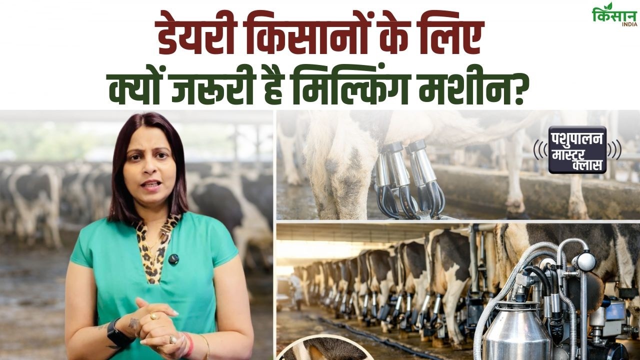 Dairy Milking Machine Benefits, डेयरी किसानों के लिए मिल्किंग मशीन क्यों जरूरी? देखें वीडियो