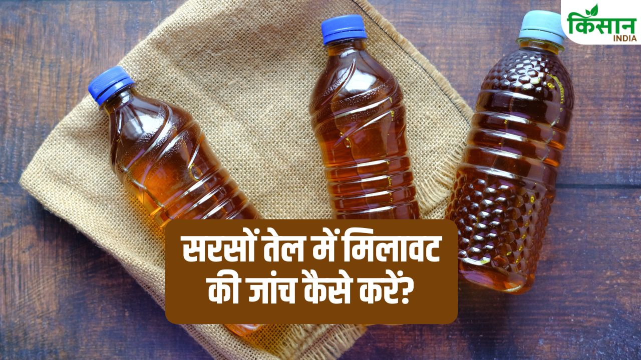 Tips And Tricks Milawati Sarson Tel Ki Pehchan Argemone Oil In Mustard Oil Adulteration Test By Fssai