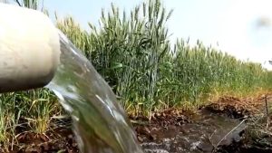 पीएम कृषि सिंचाई योजना के लिए 2393 करोड़ रुपये मंजूर, सिंचाई यंत्रों पर 75 फीसदी छूट के लिए आवेदन करें