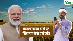 किसानों के लिए जरूरी खबर! फसल खराब हुई तो ऐसे करें शिकायत, वरना नहीं मिलेगा मुआवजा!