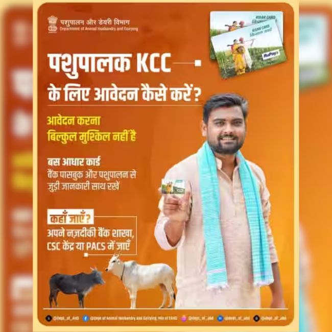 Pashupalan KCC, Animal Husbandry Kisan Credit Card, livestock loan scheme