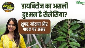 क्या सलासिया रेटिकुलेटा से ब्लड शुगर और मोटापा होगा कम? जानिए आयुर्वेदिक फायदे और सच! क्या सलासिया रेटिकुलेटा से ब्लड शुगर और मोटापा होगा कम? जानिए आयुर्वेदिक फायदे और सच!