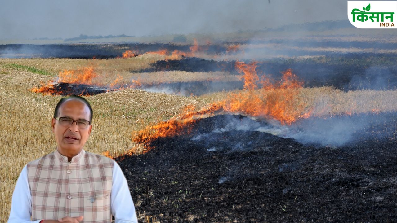 From Stubble Roads New Revolution Agriculture Minister Shivraj Singh Chouhan Said Bio Bitumen Technology Increase Farmers Income