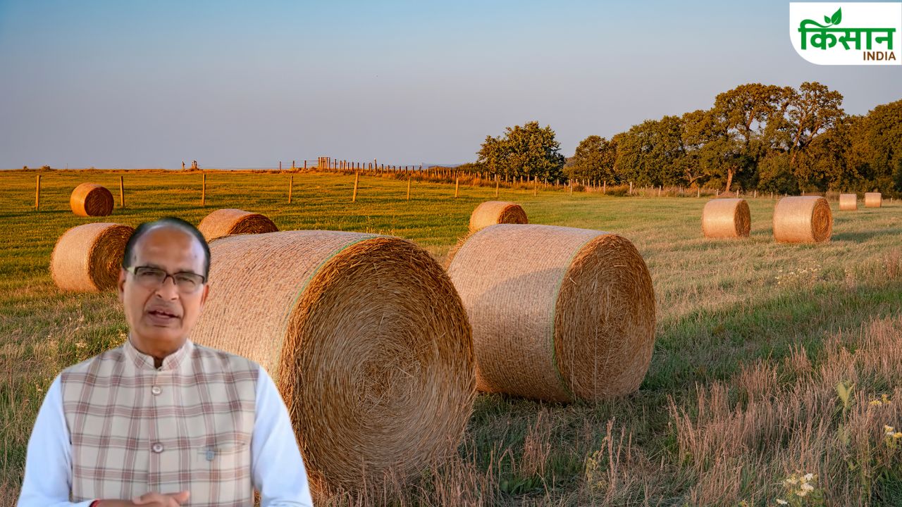 From Stubble Roads New Revolution Agriculture Minister Shivraj Singh Chouhan Said Bio Bitumen Technology Increase Farmers Income