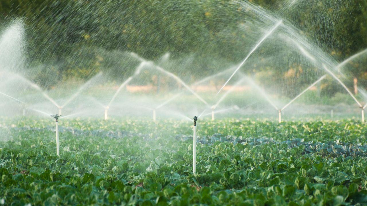 Proper Irrigation Management Change Landscape Agriculture Increasing Production With Less Water And Saving Farmers Money