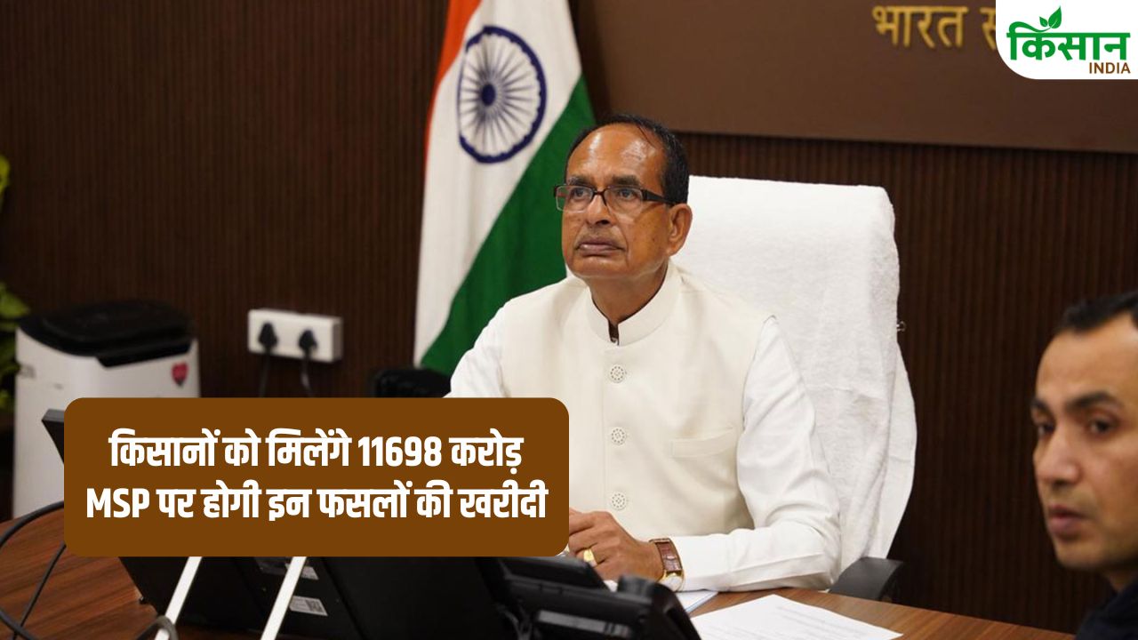 Agriculture Minister Shivraj Singh Chouhan Approves Procurement 18 Lakh Tonnes Mustard Gram And Lentils At Msp Farmers Receive Rs 11698 Crore