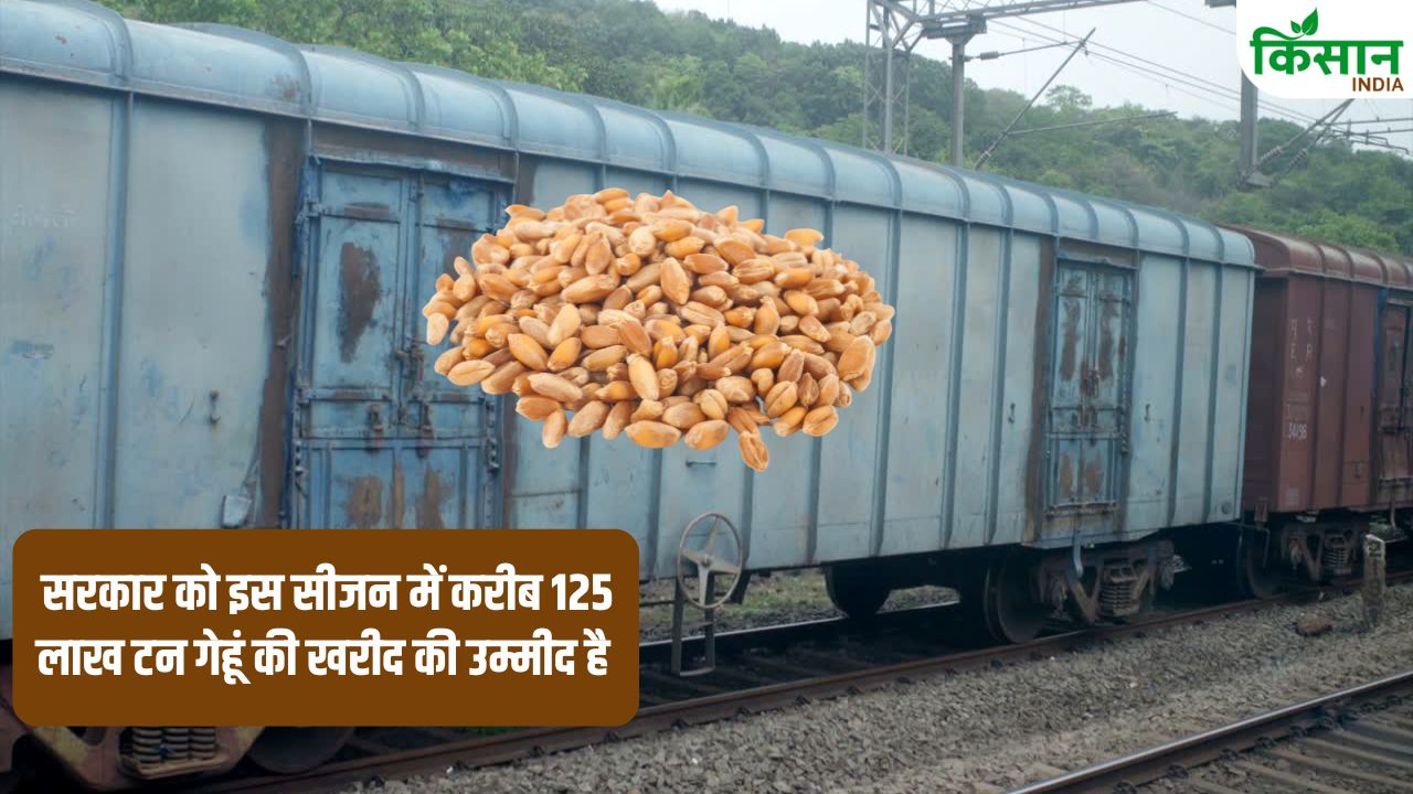 पंजाब की मंडियों से सीधे उपभोक्ता राज्यों तक पहुंचेगा गेहूं, अप्रैल से चलेंगी 860 स्पेशल ट्रेनें