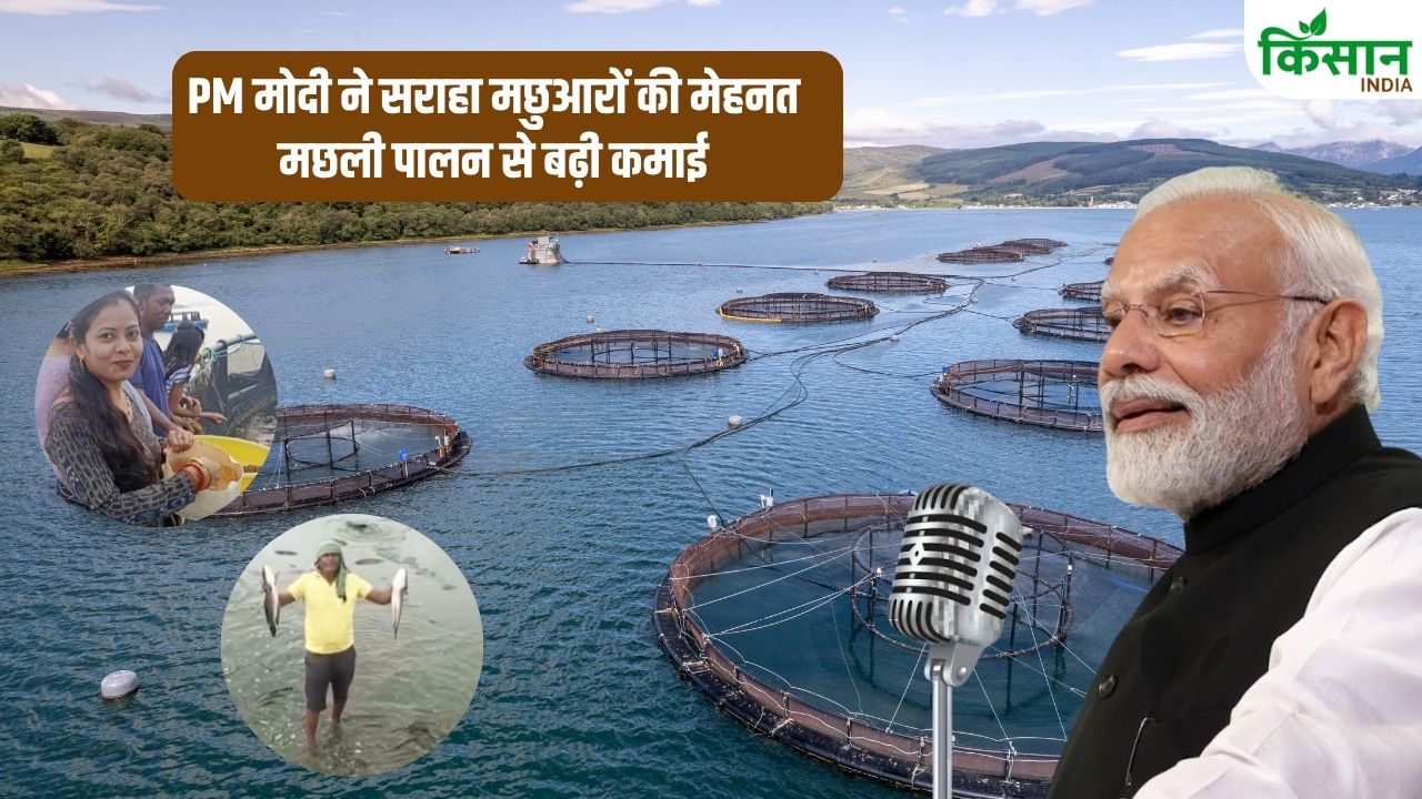 Fish Farming Odisha Sujata And Karnataka Satapa Poddar Created History Fish Farming Sparking Nationwide Discussion Pm Modi Mann Ki Baat