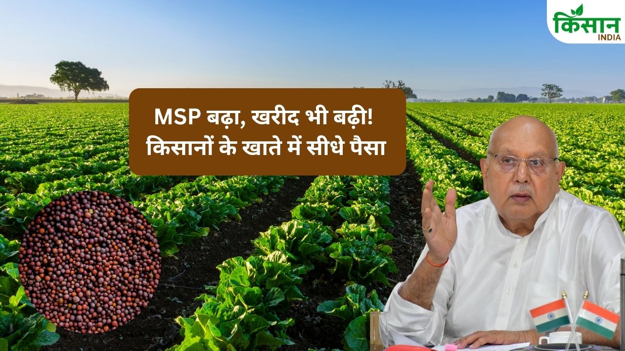 Up Farmers Msp Hiked Government Bets Big On Chickpeas Lentils And Mustard