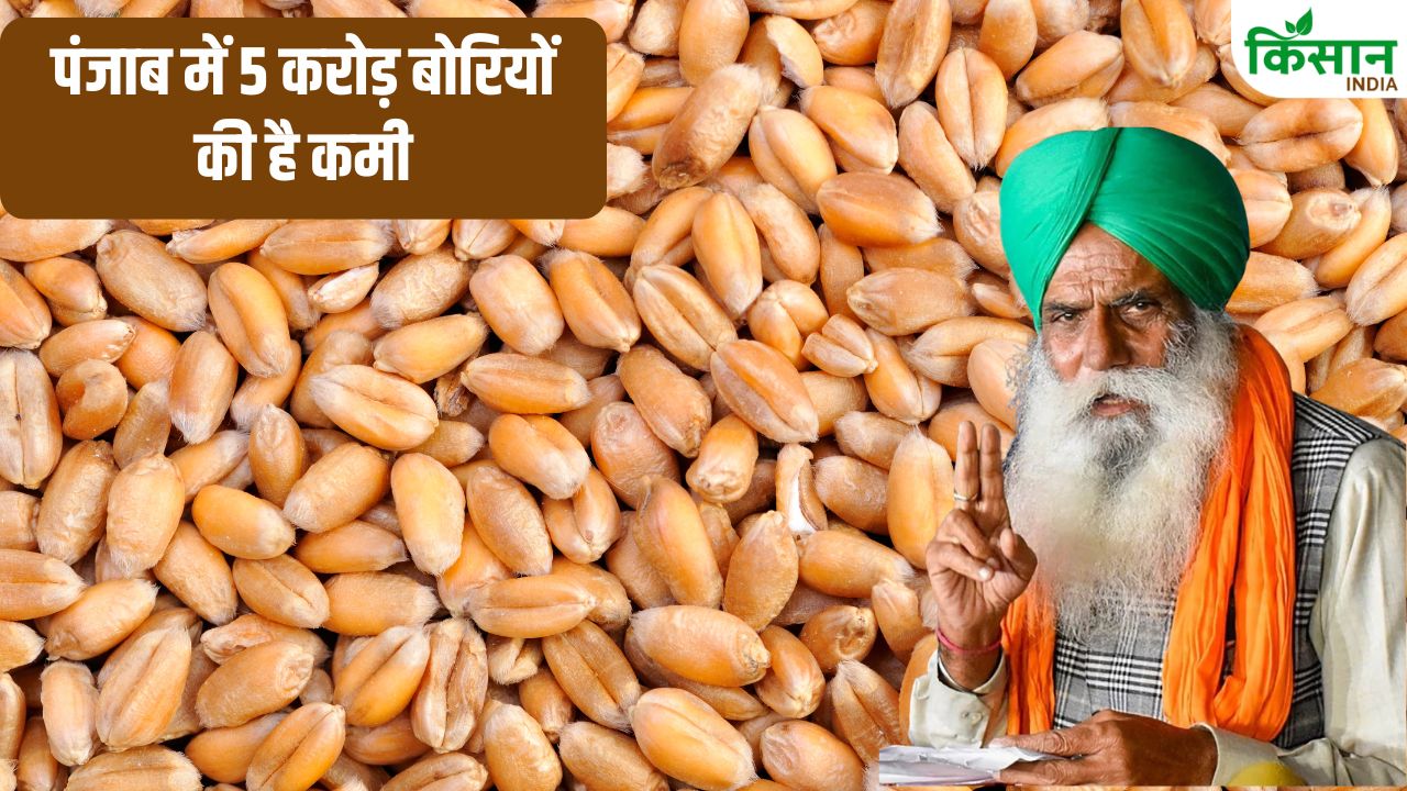 Punjab Wheat Procurement Jagjit Singh Dallewal Major Statement On Sack Shortage