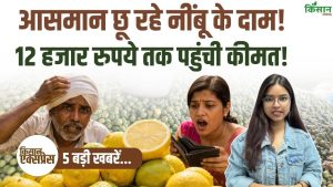 गर्मी शुरू होने से पहले ही नींबू के दाम आसमान पर, 12 हजार रुपये प्रति क्विंटल पहुंची कीमत से बढ़ी चिंता गर्मी शुरू होने से पहले ही नींबू के दाम आसमान पर, 12 हजार रुपये प्रति क्विंटल पहुंची कीमत से बढ़ी चिंता