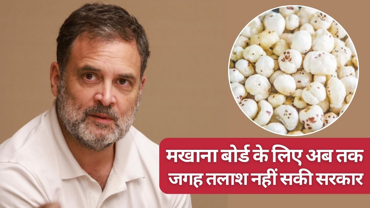 Rahul Gandhi Asks Questions To Agri Ministry On National Makhana Board Pulses And Cotton Production Check Answers