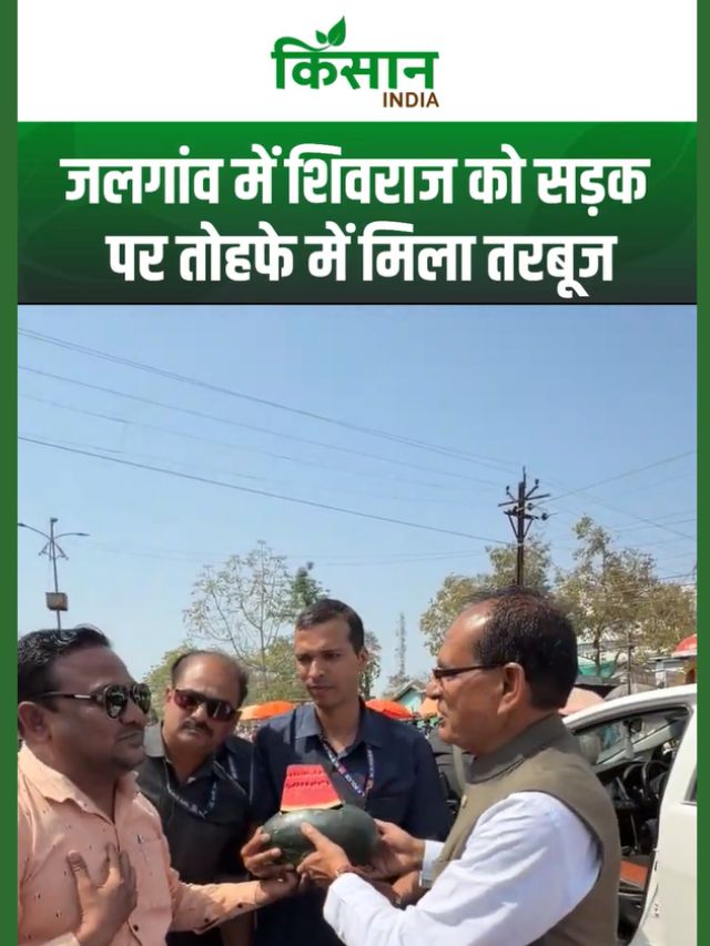 Jalgaon में Shivraj Singh को मिला खास तोहफा, तरबूज में बसी अपनेपन की मिठास