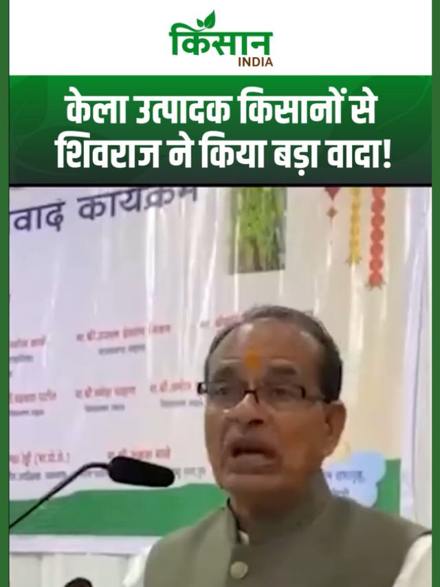 Shivraj Singh का किसानों से वादा, केला उत्पादकों की सभी समस्याओं का होगा समाधान