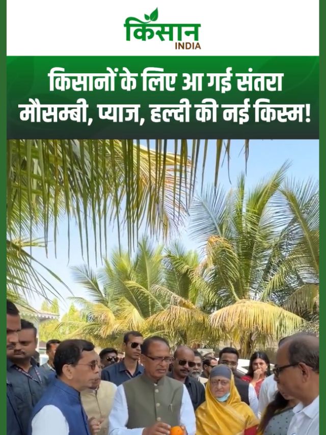 Jain Irrigation Farm में Shivraj ने चखा संतरे का स्वाद, मौसम्बी, हल्दी की नई किस्म के बारे में जाना