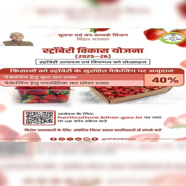 bihar strawberry vikas yojana 2026, strawberry farming subsidy bihar