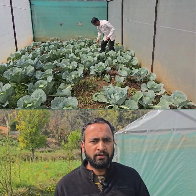 Success Farmer Deep Chandra Pandey