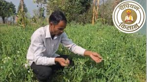 सब्जी उगाकर लाखों कमा रहे किसान दीप चंद्र पांडे, नई तकनीक अपनाकर पेश की सफल खेती की मिसाल सब्जी उगाकर लाखों कमा रहे किसान दीप चंद्र पांडे, नई तकनीक अपनाकर पेश की सफल खेती की मिसाल