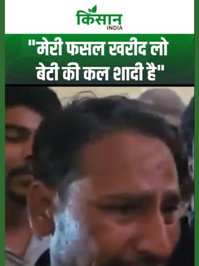Mandi में फूट पड़ा किसान का दर्द, 