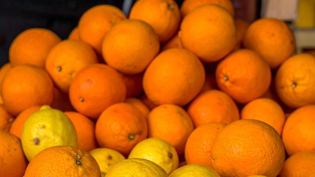 दाग-धब्बों से रहें सावधान - अगर संतरे के छिलके पर ज्यादा दाग-धब्बे या सड़न के निशान दिखें, तो ऐसे फल खरीदने से बचें क्योंकि वह अंदर से खराब या खट्टा हो सकता है.