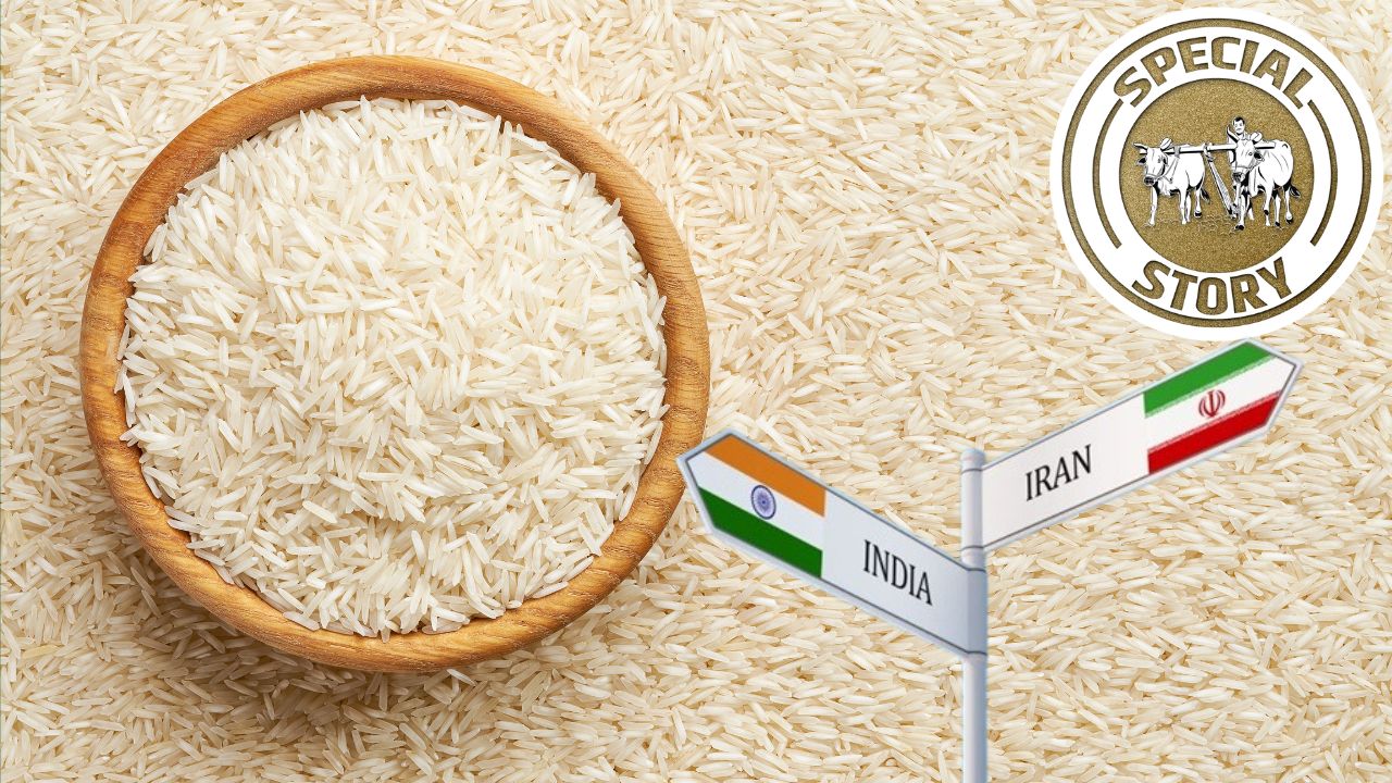 Us Israel Attack On Iran Impact Trade Route Indian Rice Shipments Worth Rs 2000 Crore Stuck And Cardamom Dried Fruits To Crude Oil Possess Market Uncertainty And The Threat Of Inflation