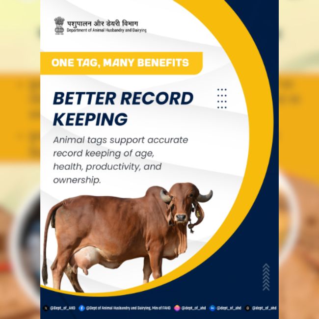 Animal Tagging, Livestock Management, Dairy Farming, Animal Health, Record Keeping