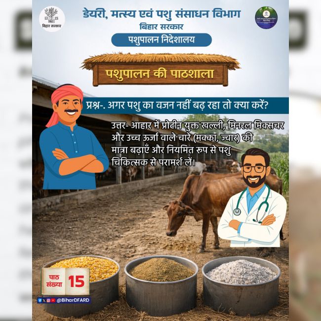 Animal Nutrition, Livestock Care, Cattle Feed, Animal Health, Mineral Mixture