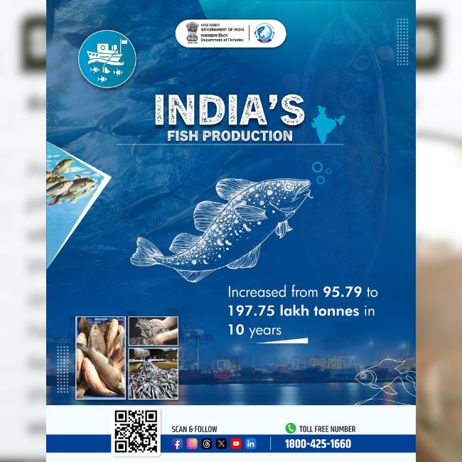 Fisheries Sector, Fish Production, PMMSY, Blue Economy, Rural Employment, Infrastructure Development