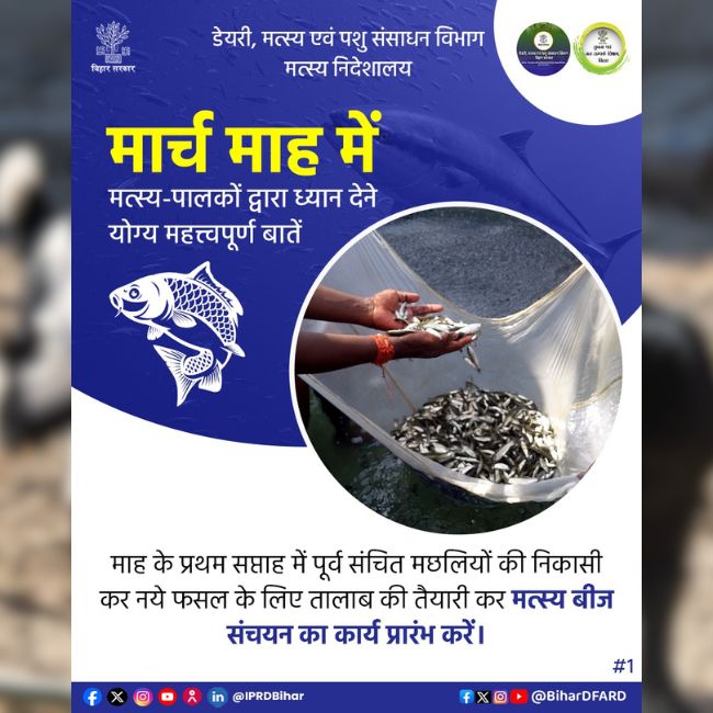 Fish Farming, Fisheries Department, Fish Seed, Pond Management, Aquaculture, Bihar Fisheries