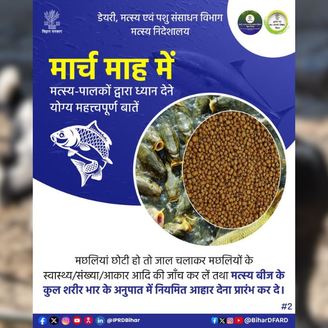 Fish Farming, Aquaculture, Fish Health, Pond Management, Fish Feed, Fisheries Development