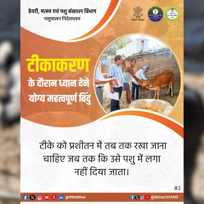 Animal Vaccination, Livestock Health, Animal Husbandry, Veterinary Care, Disease Prevention, Dairy Farming