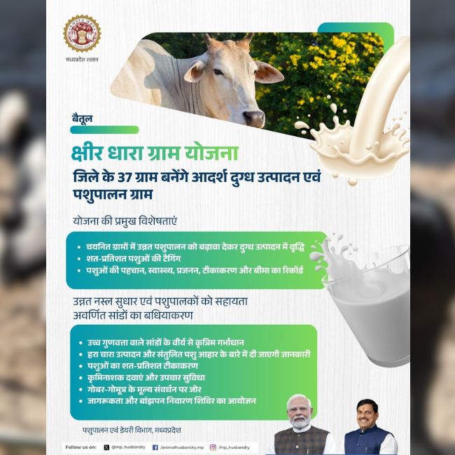 Kshir Dhara Gram Yojana, Betul Dairy Development, Animal Husbandry MP, Milk Production Scheme, Cattle Tagging Program