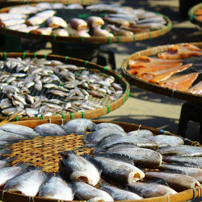 Fish Farming, Fresh Fish Market, Fisheries Department, Aquaculture, Fish Farmers, Fish Outlet