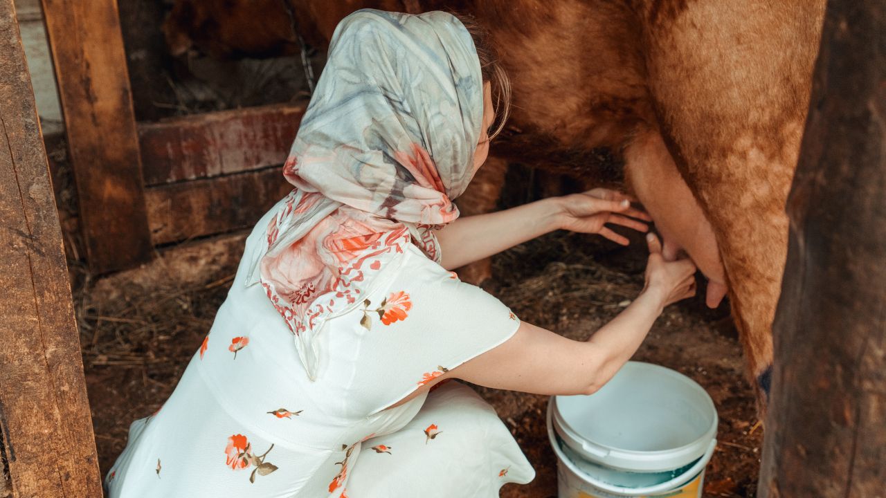 Dairy Cooperatives Given Women New Identity And Milk Earnings Are Strengthening The Rural Economy