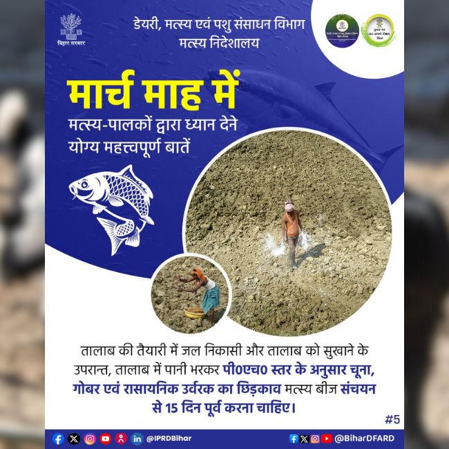 Fish Farming, Pond Preparation, Bihar Fisheries Department, Aquaculture Tips, Fish Seed Stocking