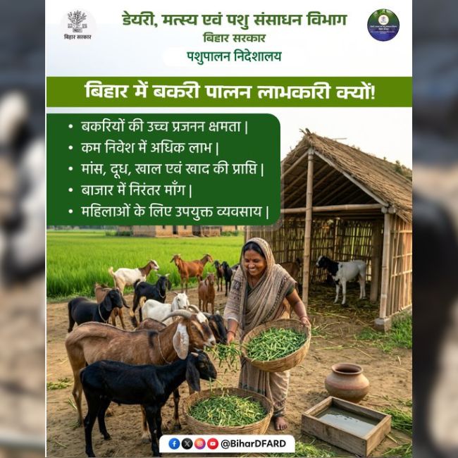 Goat Farming, Livestock Business, Rural Income, Animal Husbandry, Dairy Farming, Small Farming