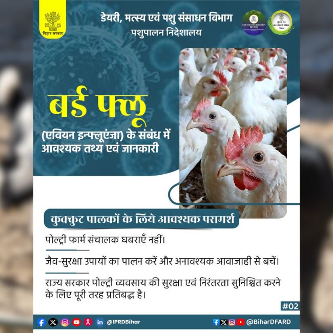 Bird Flu Alert, Avian Influenza, Poultry Farmers, Bihar Animal Husbandry, Biosecurity Measures, Poultry Farming
