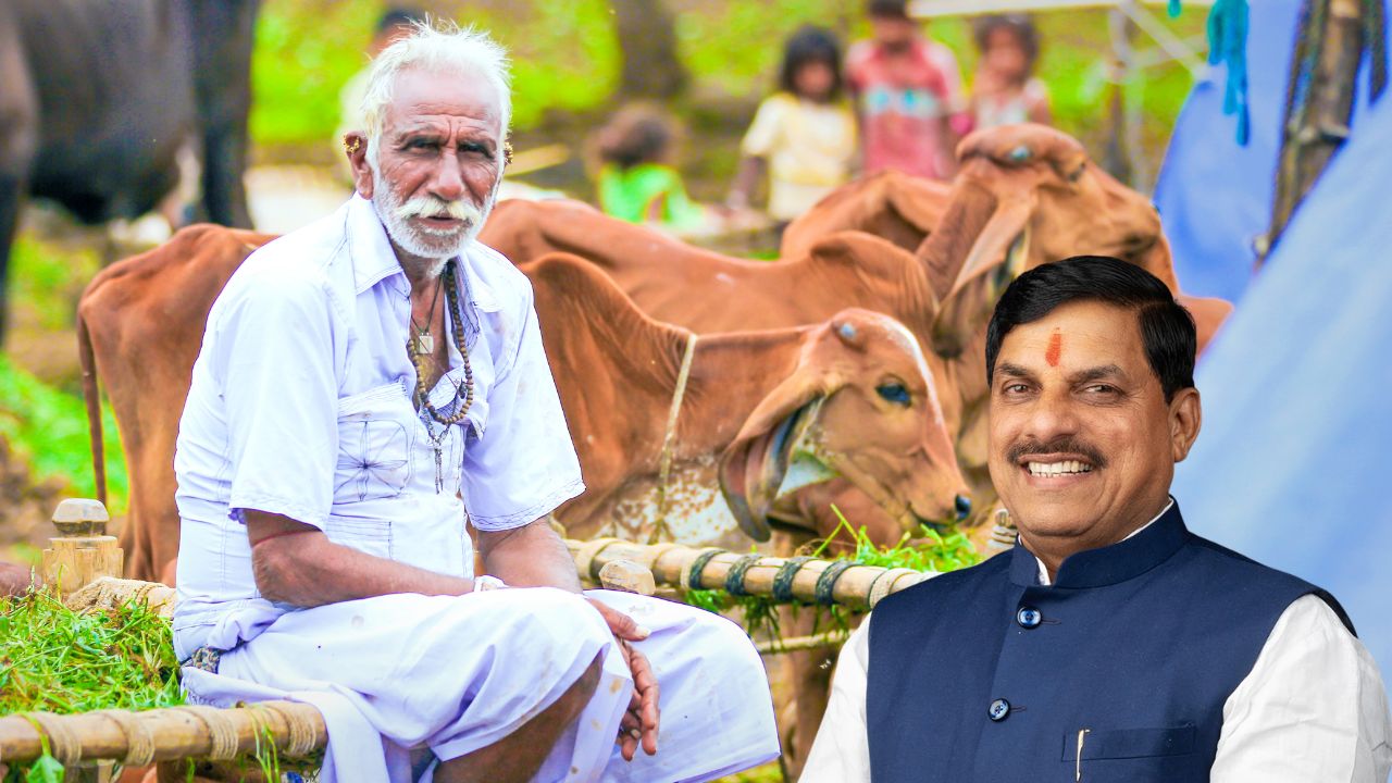 Mohan Yadav Government Big Game Plan Many Decisions Taken Simultaneously Now Know What Going Change State